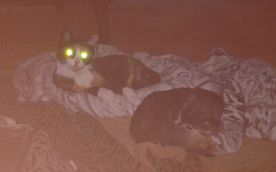 Halloween Isn’t Always the Scariest Day of the Year