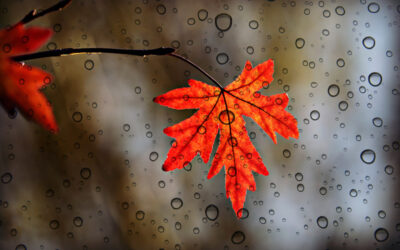 A Rainy Day of Fun in the Shenandoah Valley